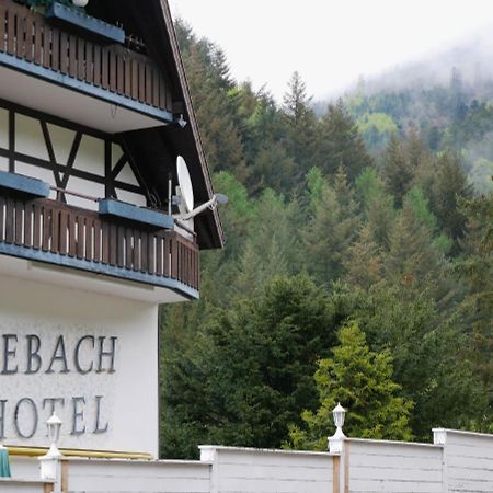 Seebach-Hotel Exteriér fotografie